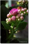 R0013820