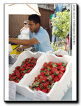 

XL size strawberry