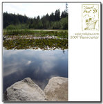 The Lost Lagoon @ Stanley Park