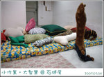 布藝手工