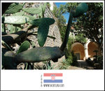 
Benedictine Monastery @ Lokrum Island