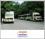 
Buses which carry tourists to different spots