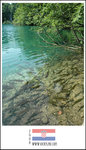 
The clear water and fishes