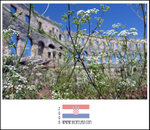 
The amphitheater at Pula 