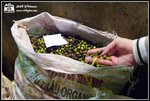 One of the bags of coffee fruit