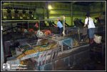 Machines separating the green and the red fruits for processing.