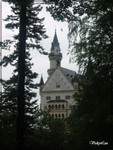 Germany 11