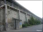 Germany 8