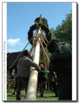 Start erecting the maypole