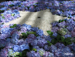 flower star