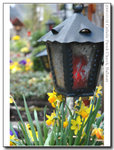 A lamp at the cemetery