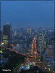 tokyo evening view