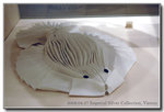 
A napkin fish