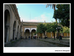 20050207 mezquita 04