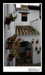 20050207 plaza del potro 05