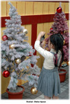 Photo shooting of Xmas tree