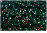 Xmas tree's decoration