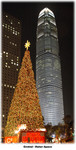 Night view of xmas tree + IFC