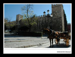 20050209 alcazar 01