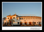 20050209 toros 03