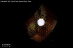 CRW_8993