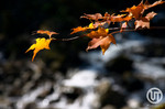 sVT-Hokkaido5_0084