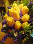 IMG_0954