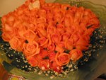 100 pink roses