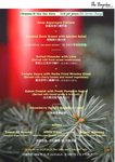 BV Xmas Menu 07_p[1].1