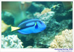 OceanMuseum08