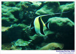OceanMuseum10