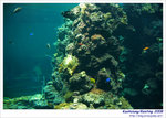 OceanMuseum11