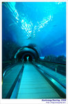 OceanMuseum13