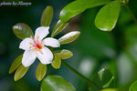 CRW_7566