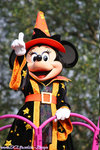 IMG_3169.jpgIMG_3309