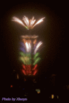 101-2006