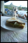 Breakfast @ �j�y�s�U���ȴ�