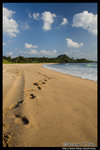 Footprint @ �j�W�F�y