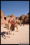 �j���d�m @ Petra, Jordan 