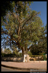 �۶ǬO���Ӭ����C�q�Ҫ��L���� �I Jericho, Israel