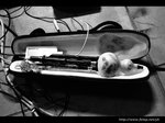 DSC_0907f