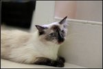 IMG_0857