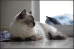 IMG_0863
