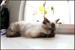 IMG_0888