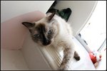 IMG_0900