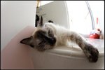 IMG_0901