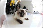 IMG_0902