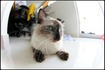IMG_0904