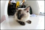 IMG_0905