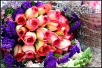 IMG_0927